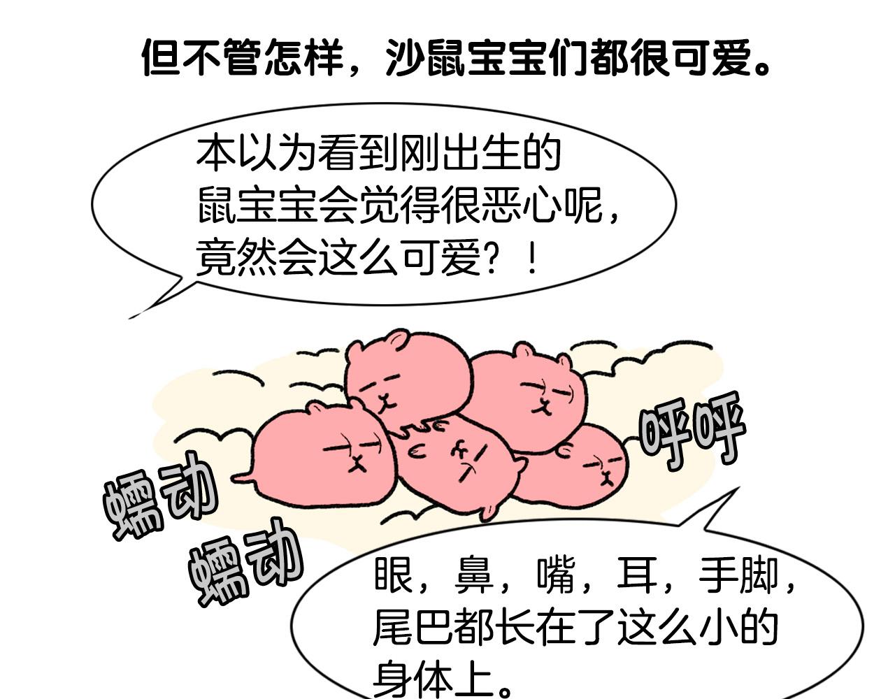 完结篇番外5 请勿随意弃养(1/2)-第66话