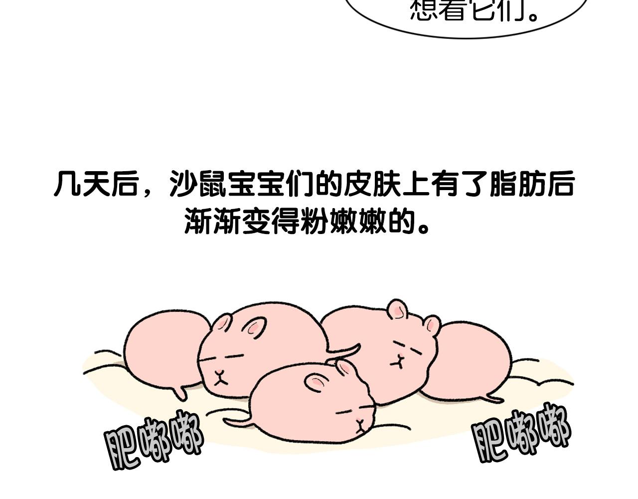 完结篇番外5 请勿随意弃养(1/2)-第66话