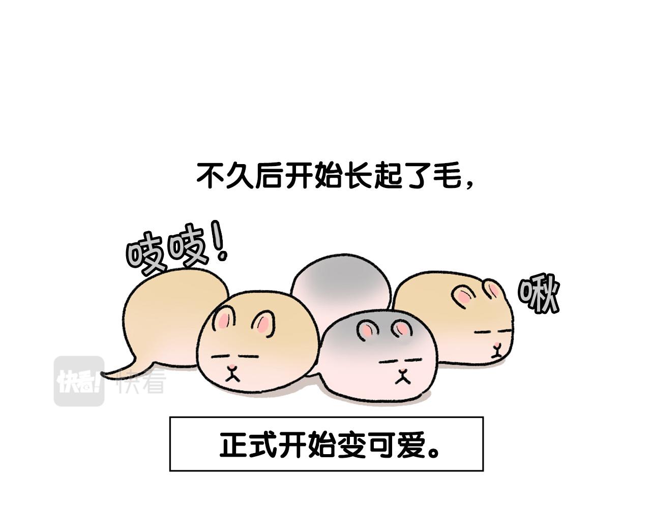 完结篇番外5 请勿随意弃养(1/2)-第66话