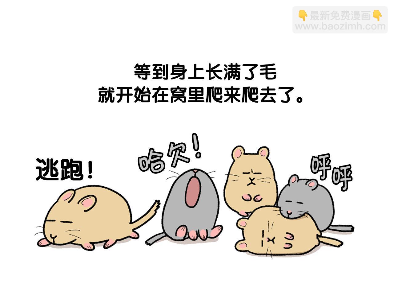 完结篇番外5 请勿随意弃养(1/2)-第66话