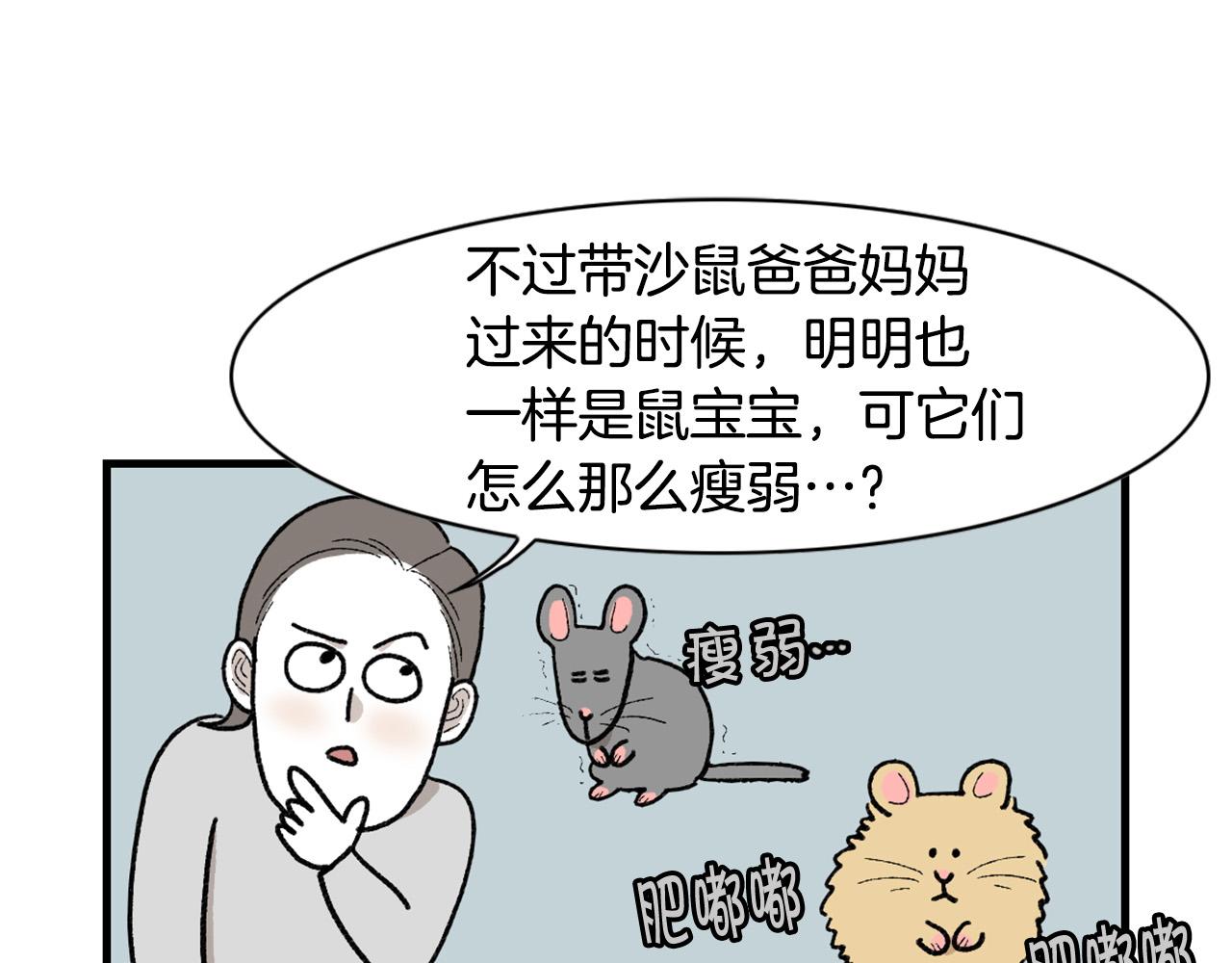完结篇番外5 请勿随意弃养(1/2)-第66话