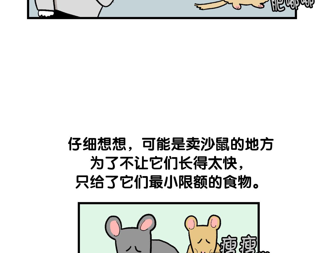 完结篇番外5 请勿随意弃养(1/2)-第66话