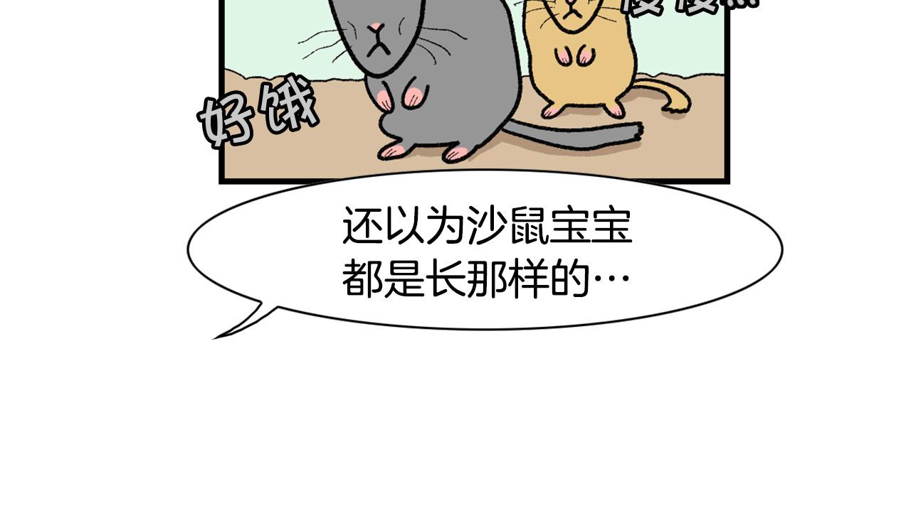 完结篇番外5 请勿随意弃养(1/2)-第66话