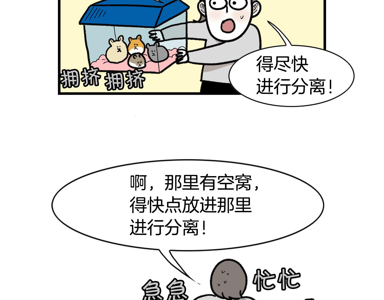 完结篇番外5 请勿随意弃养(1/2)-第66话