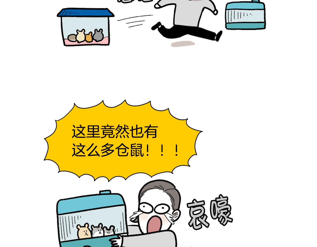 完结篇番外5 请勿随意弃养(1/2)-第66话