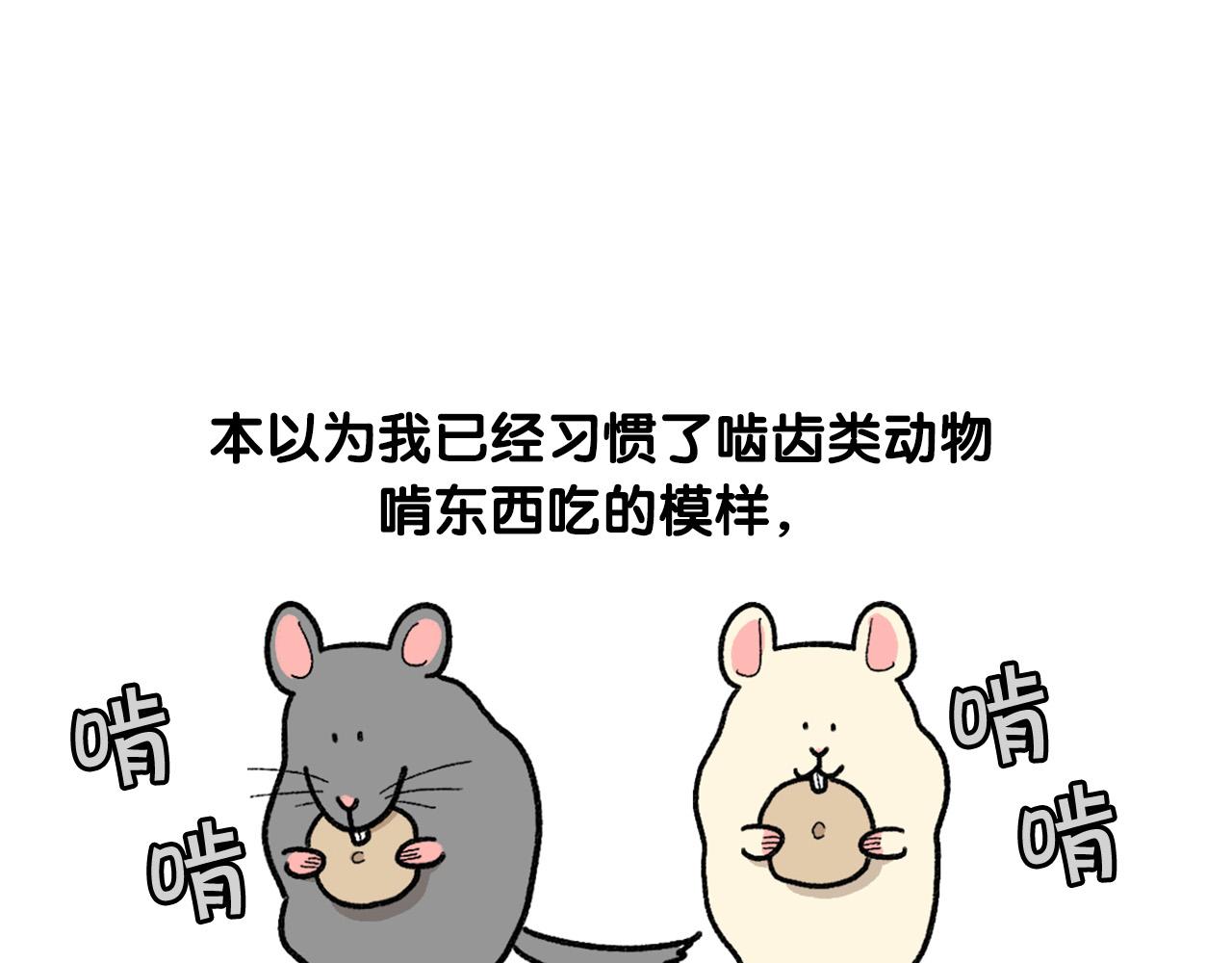 完结篇番外5 请勿随意弃养(1/2)-第66话