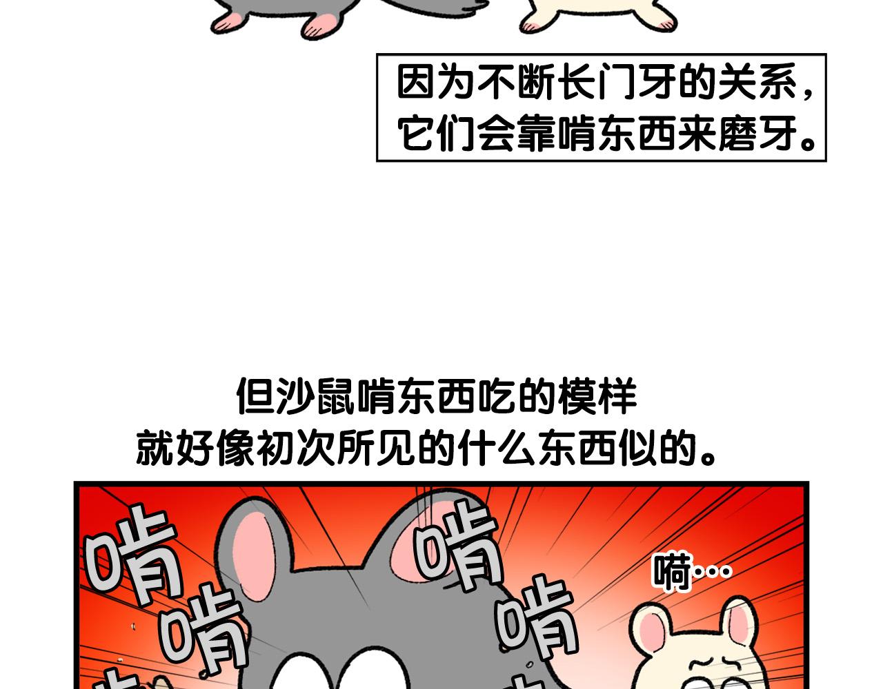 完结篇番外5 请勿随意弃养(1/2)-第66话
