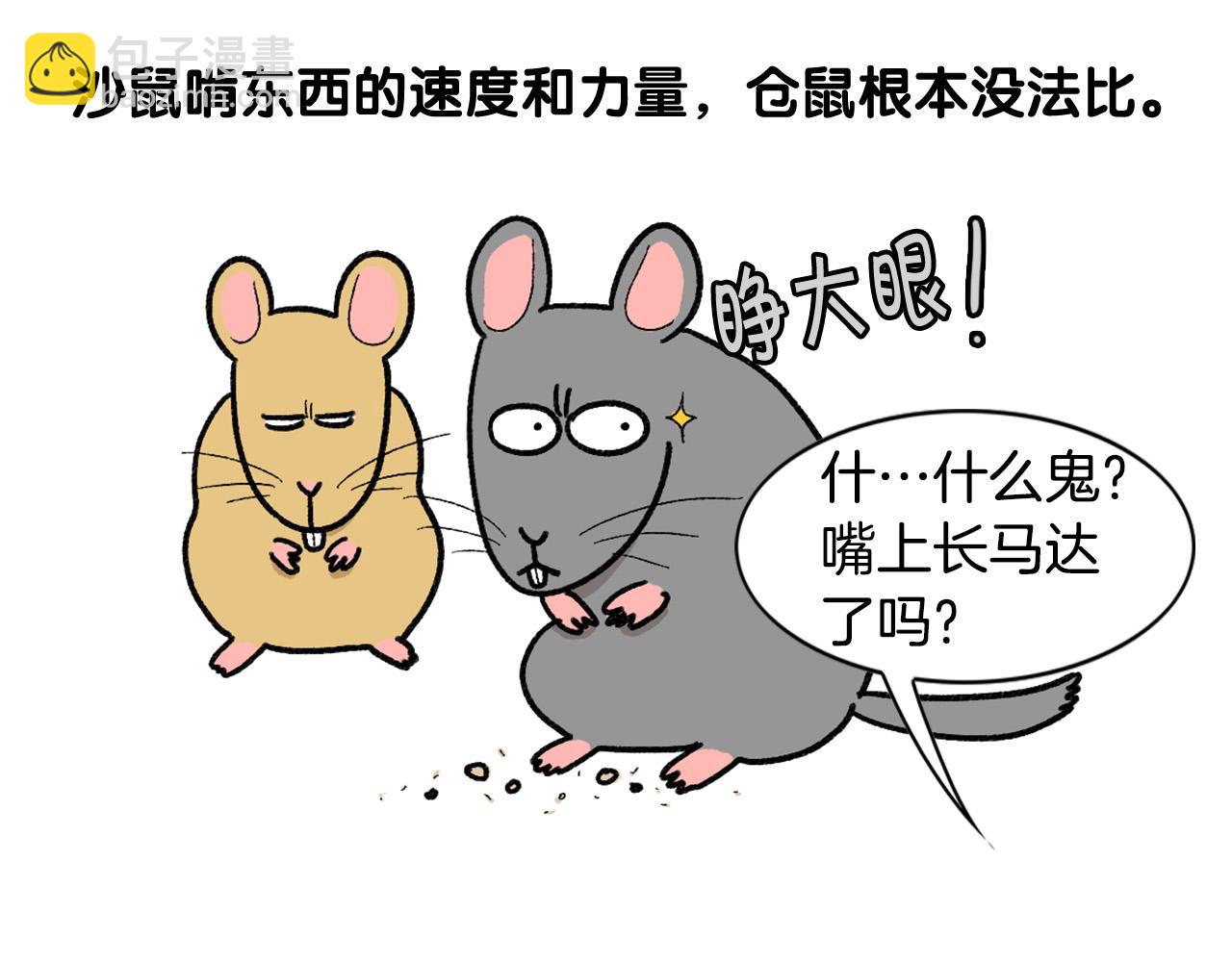 完结篇番外5 请勿随意弃养(1/2)-第66话