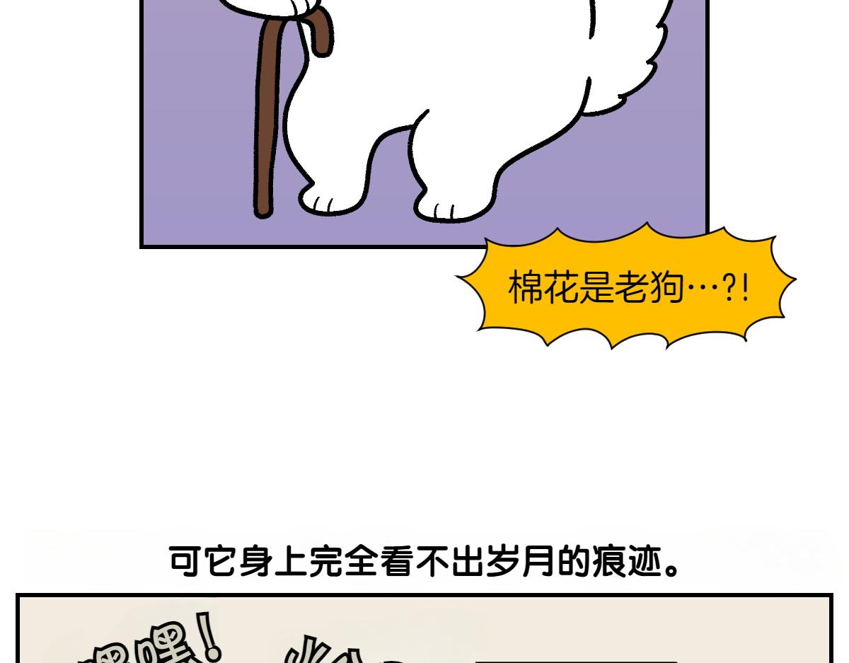 第2季序章 已经是中年狗狗了！(1/2)-第68话
