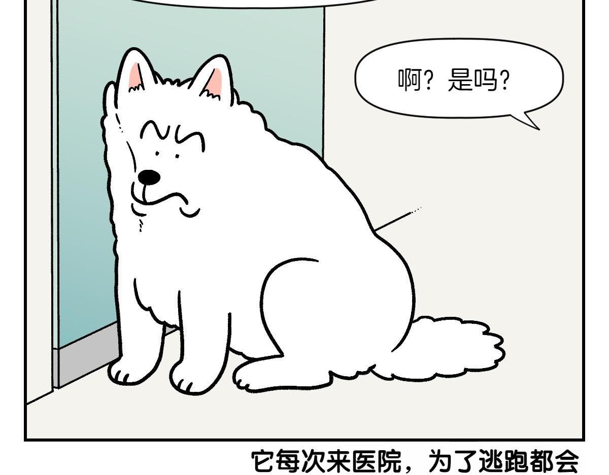 第2季序章 已经是中年狗狗了！(1/2)-第68话