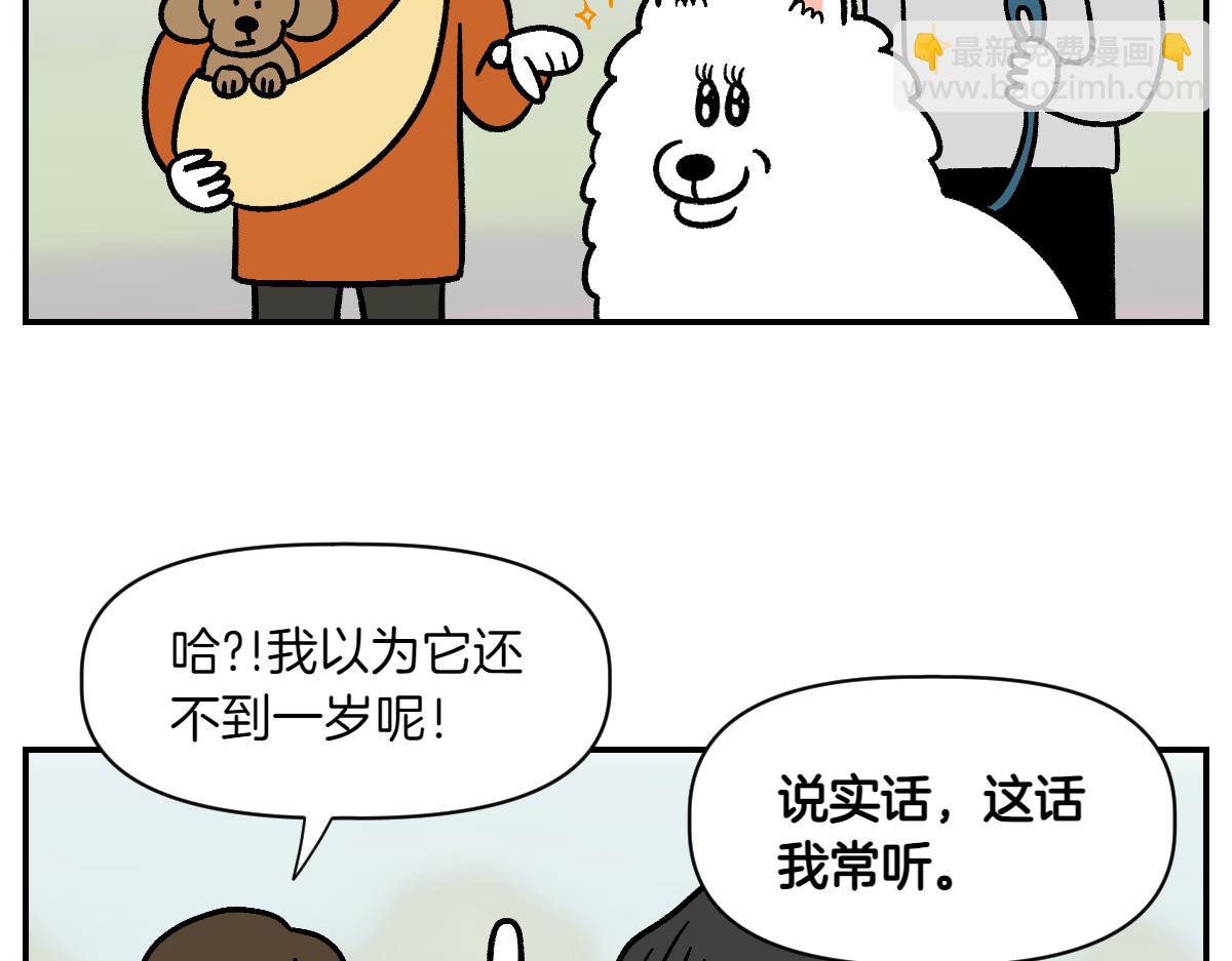 第2季序章 已经是中年狗狗了！(1/2)-第68话