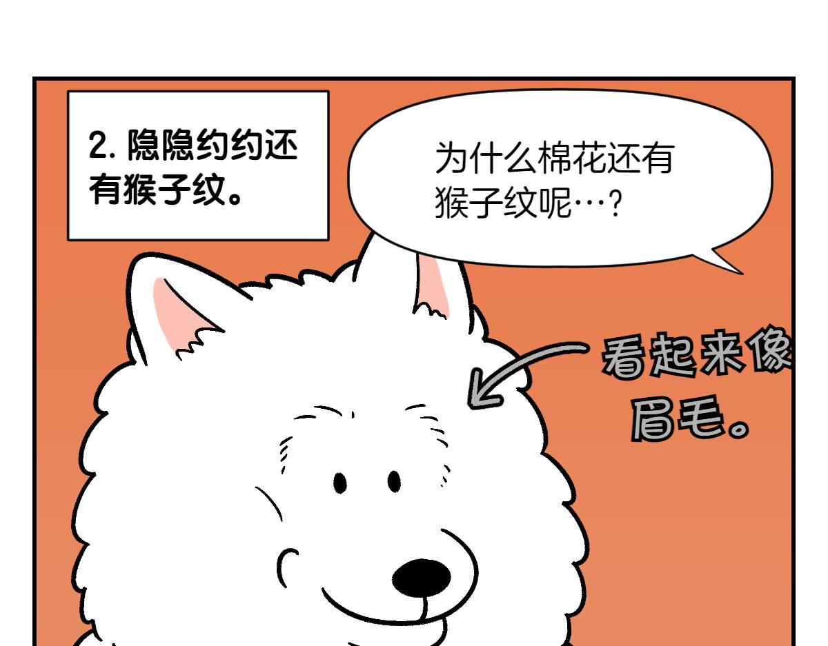 第2季序章 已经是中年狗狗了！(1/2)-第68话