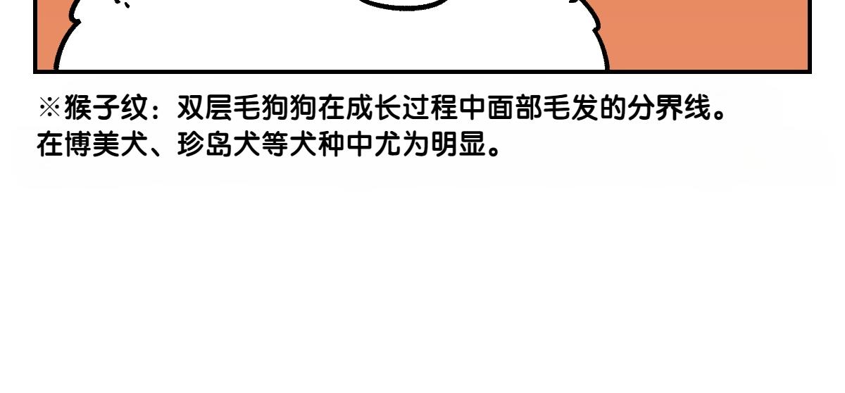 第2季序章 已经是中年狗狗了！(1/2)-第68话