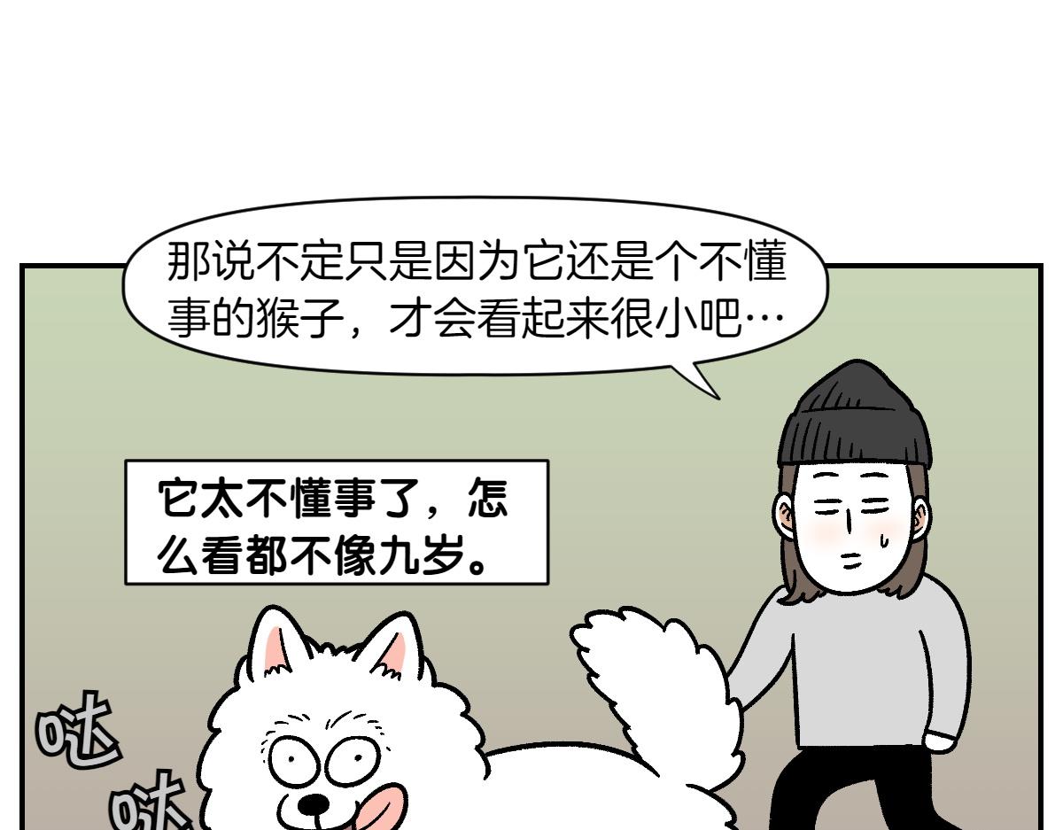 第2季序章 已经是中年狗狗了！(1/2)-第68话