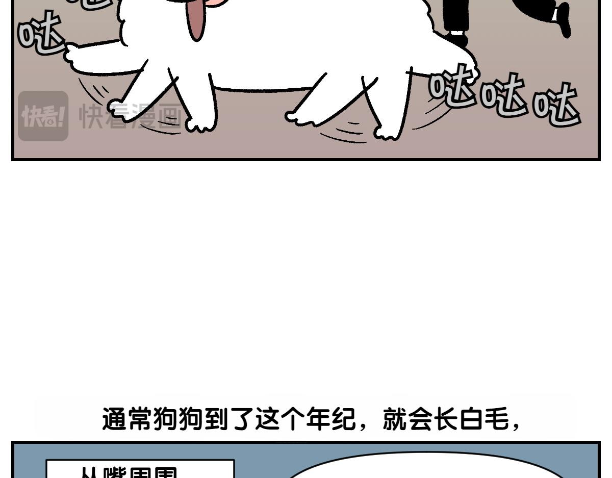 第2季序章 已经是中年狗狗了！(1/2)-第68话