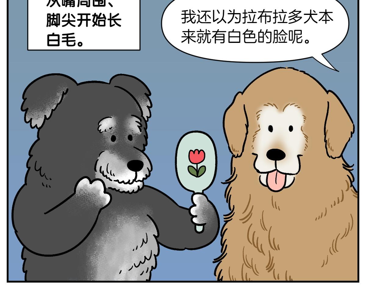 第2季序章 已经是中年狗狗了！(1/2)-第68话