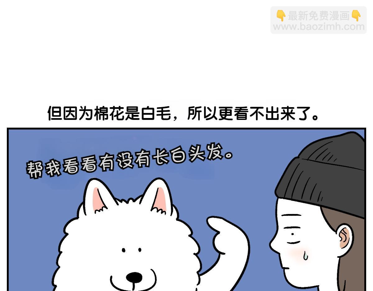 第2季序章 已经是中年狗狗了！(1/2)-第68话