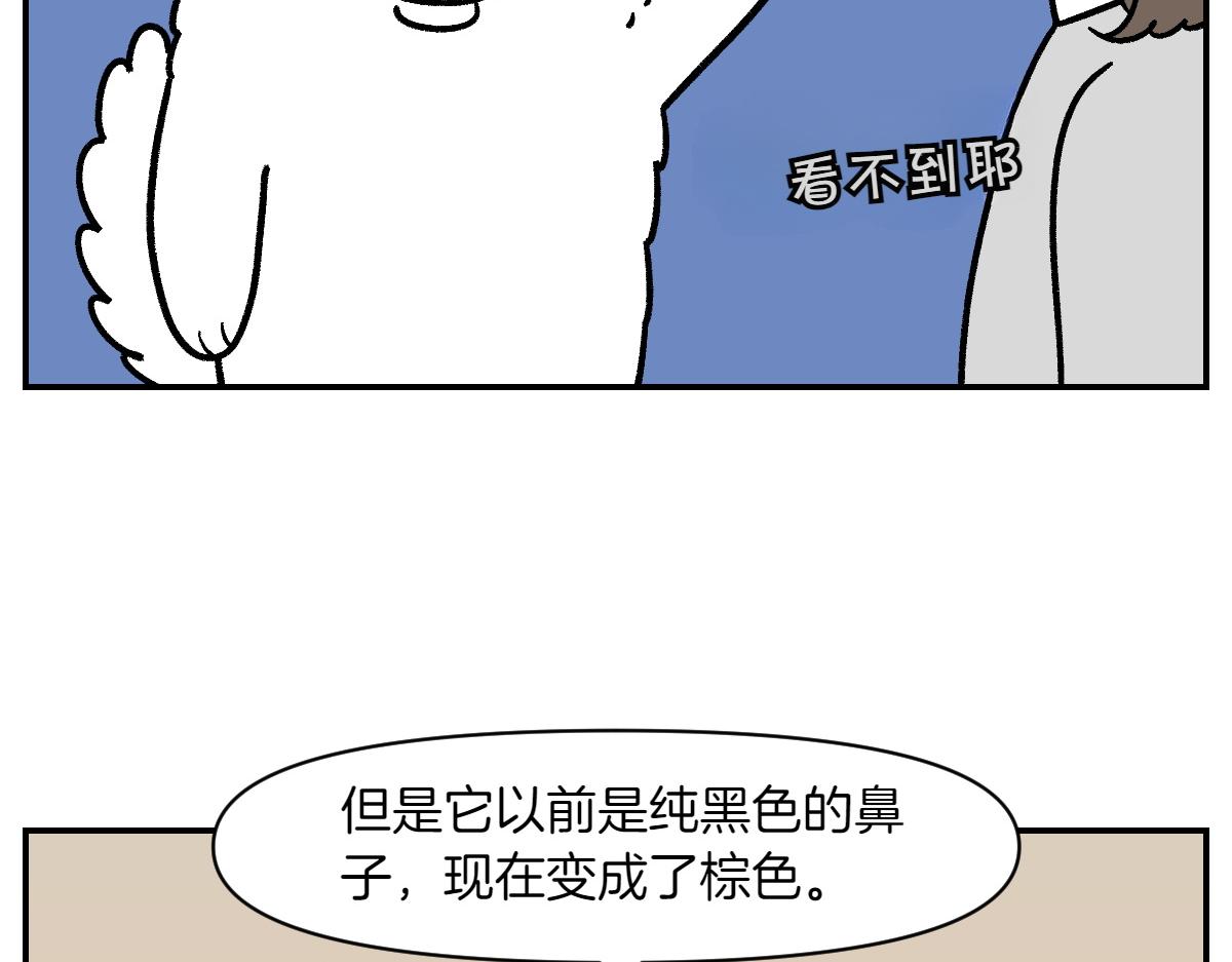 第2季序章 已经是中年狗狗了！(1/2)-第68话