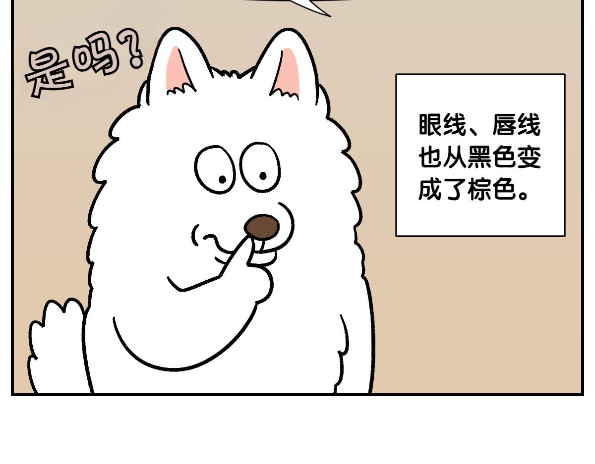 第2季序章 已经是中年狗狗了！(1/2)-第68话