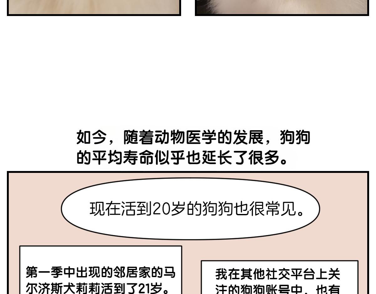 第2季序章 已经是中年狗狗了！(1/2)-第68话