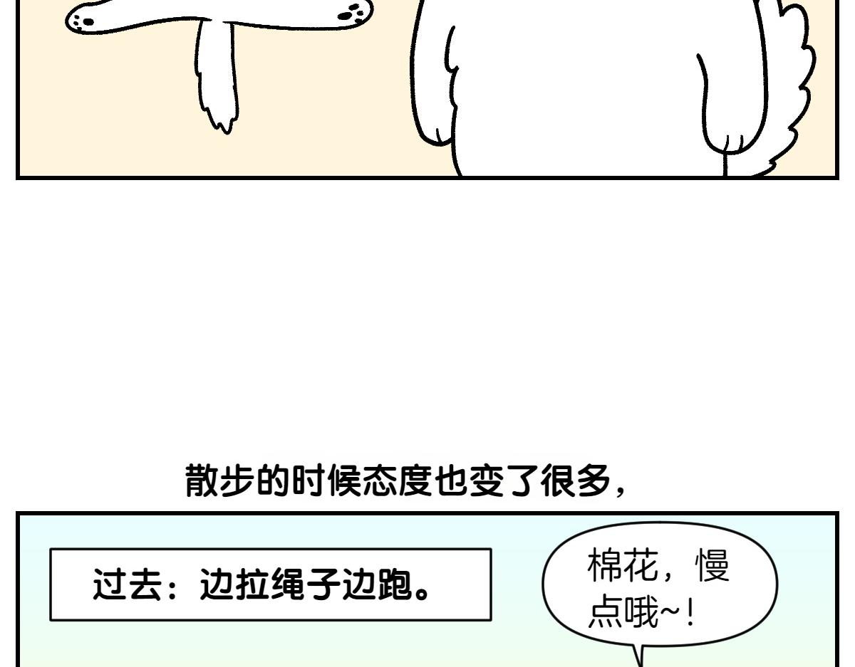 第2季序章 已经是中年狗狗了！(1/2)-第68话