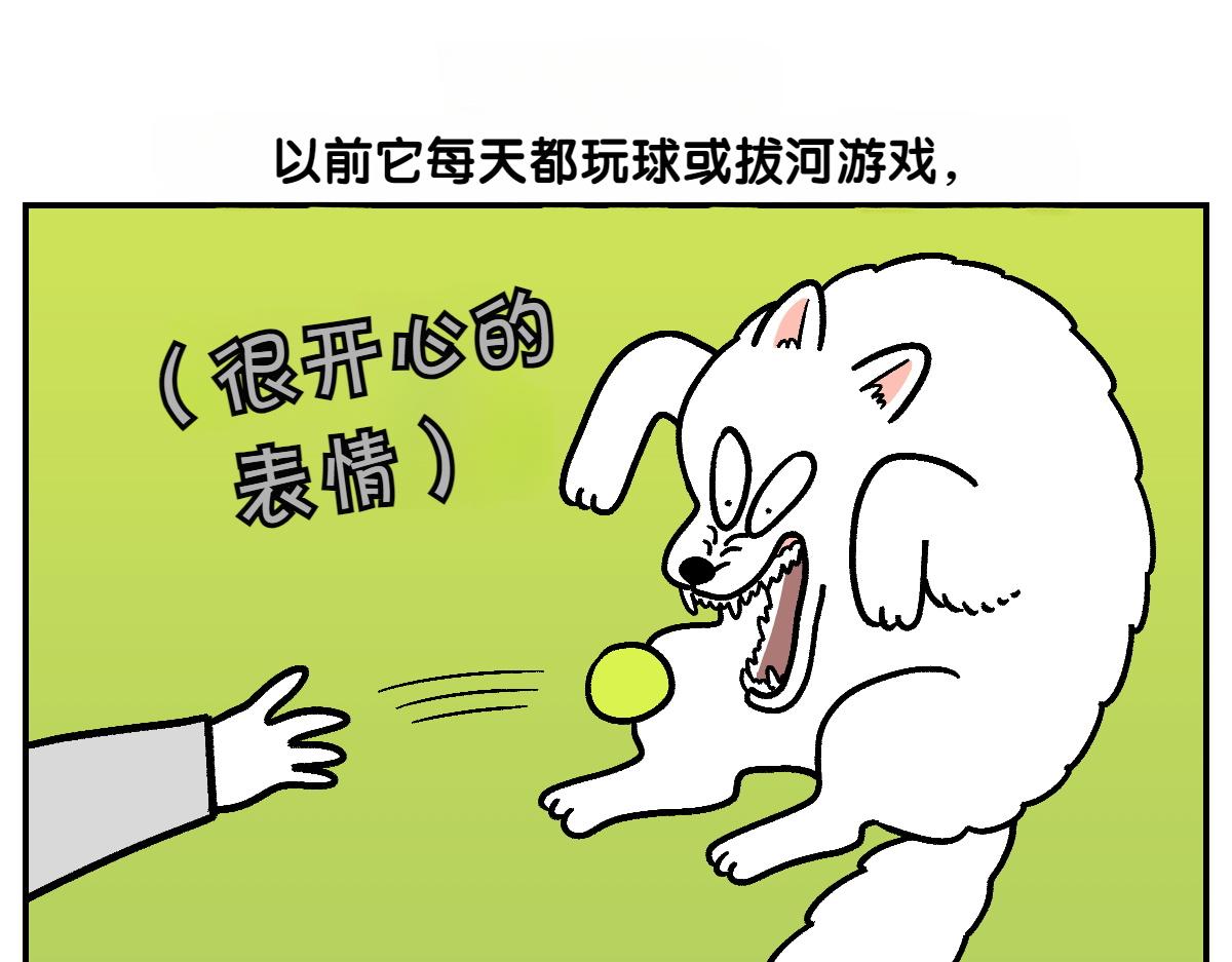 第2季序章 已经是中年狗狗了！(1/2)-第68话