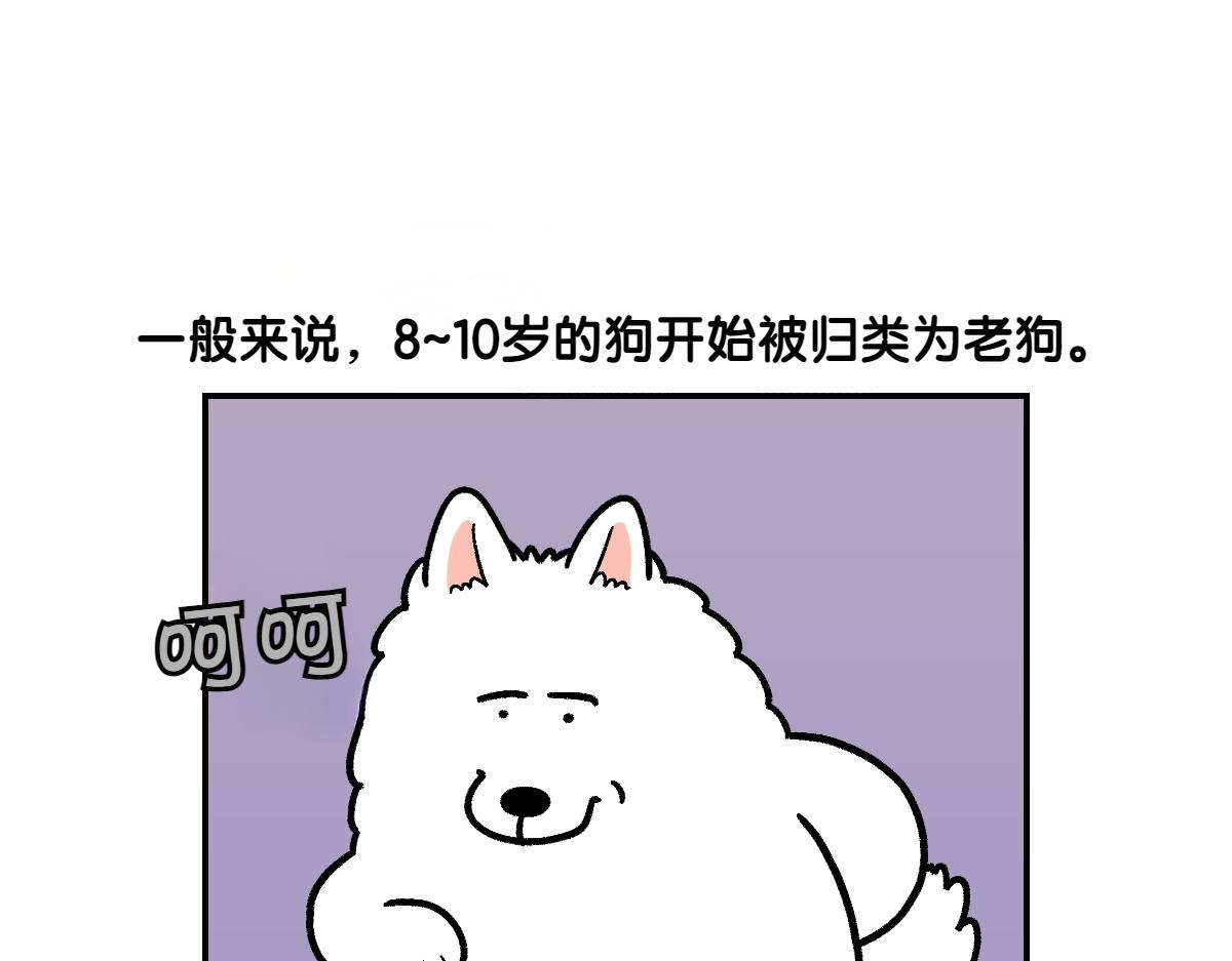 第2季序章 已经是中年狗狗了！(1/2)-第68话
