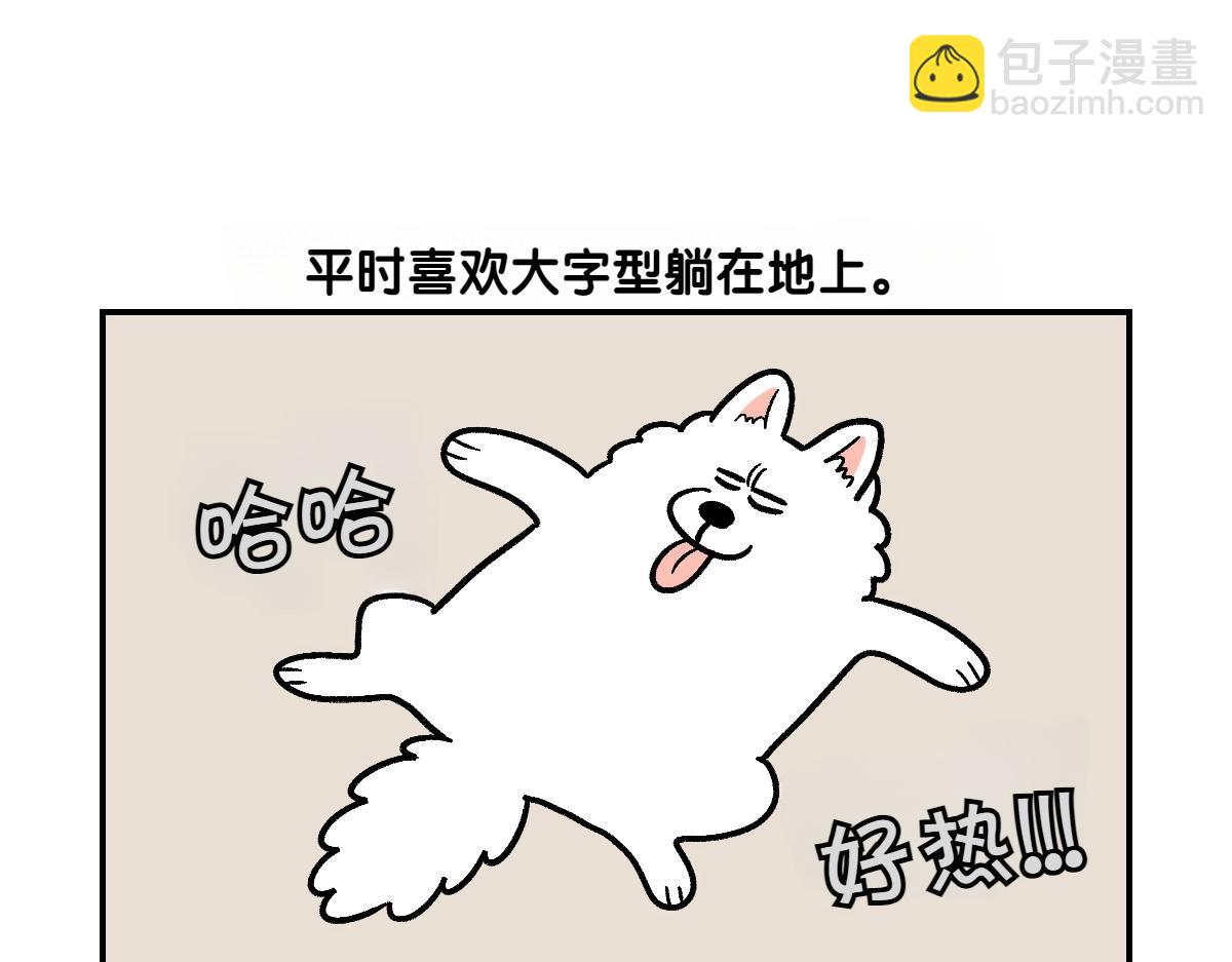 第2话 棉棒美容后记(1/2)-第70话
