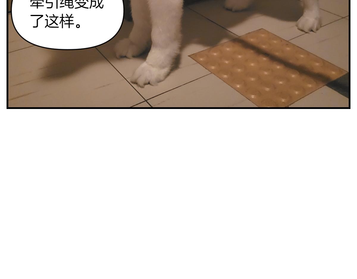 第2话 棉棒美容后记(1/2)-第70话