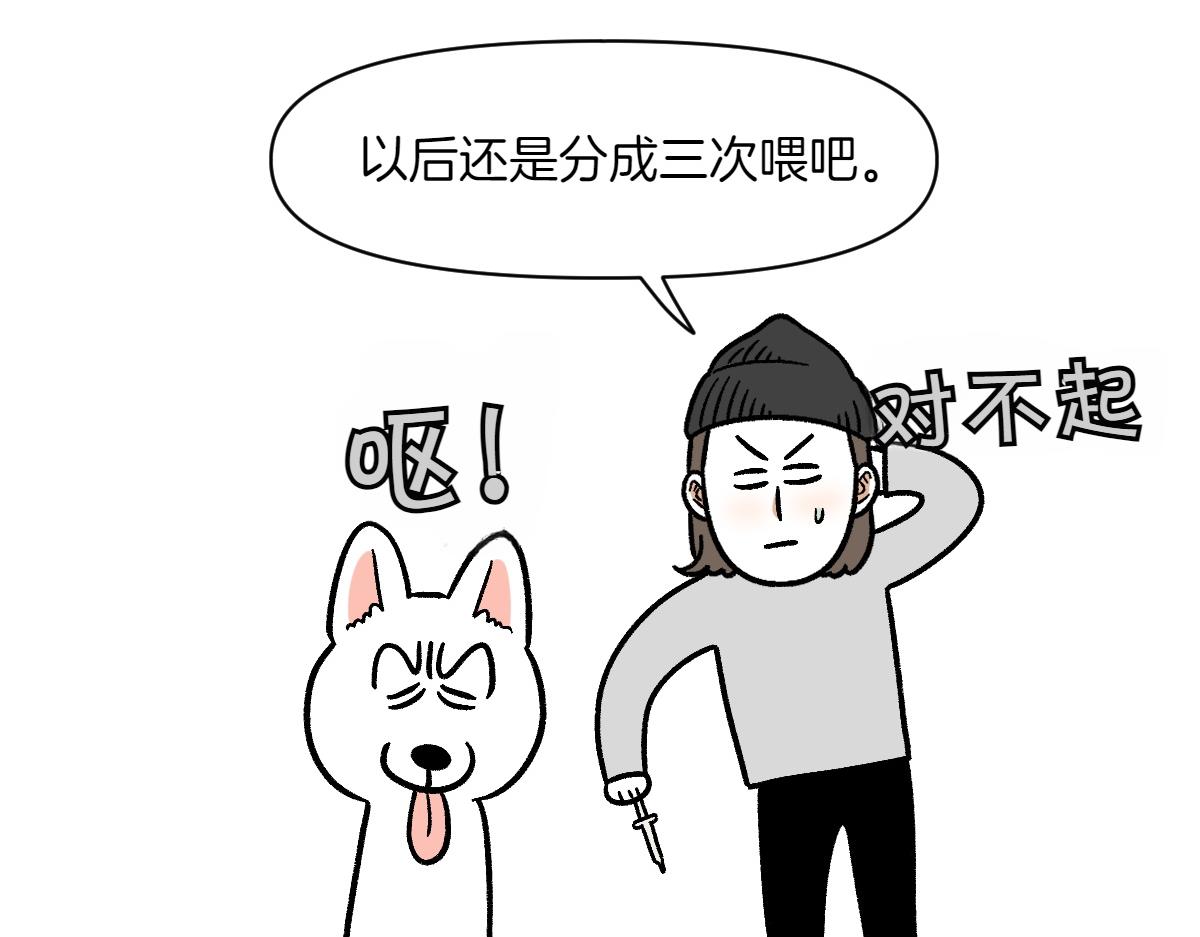第6话 喂狗狗吃药粉的方法(1/2)-第74话