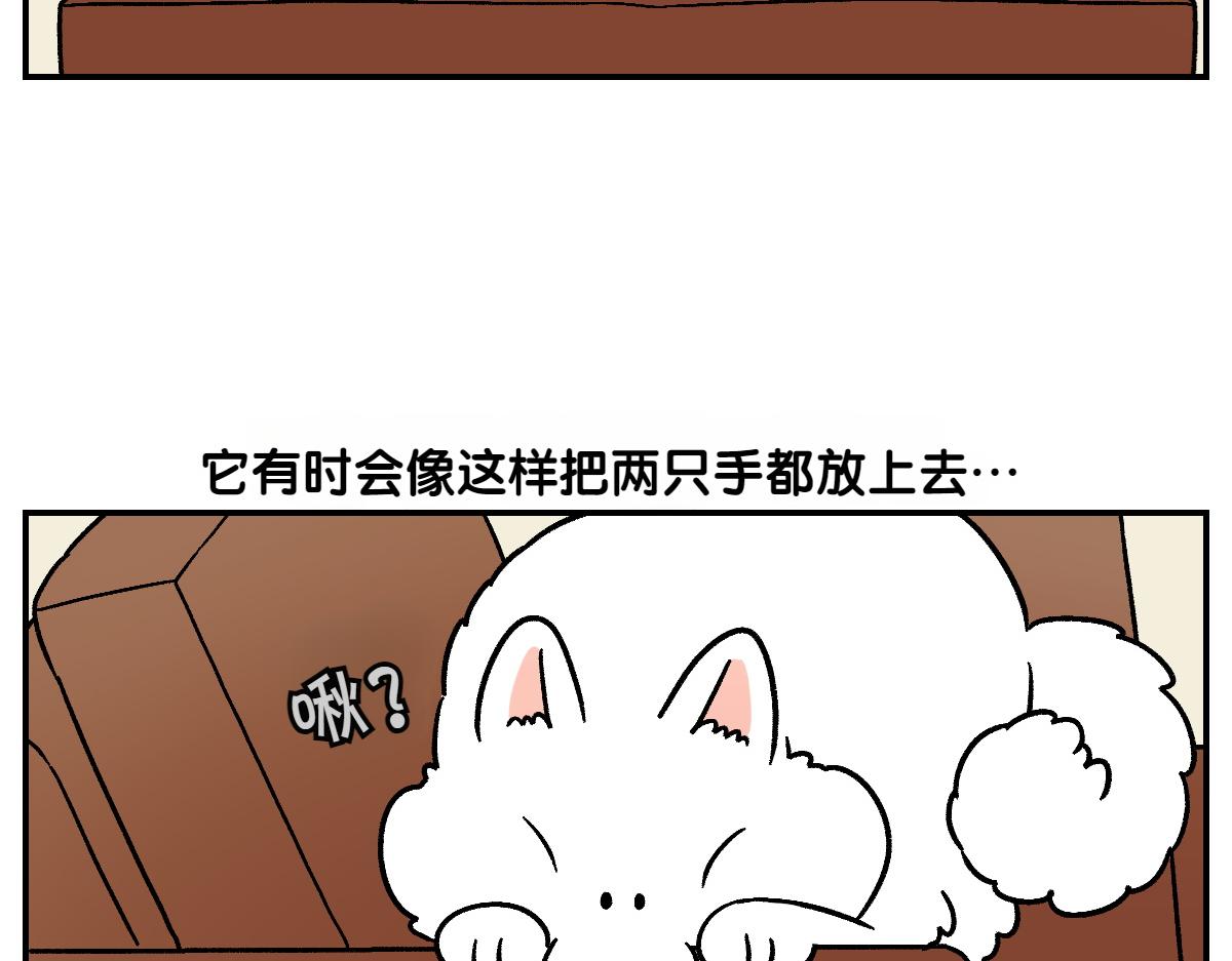 第8话 棉花的专属位置-第76话