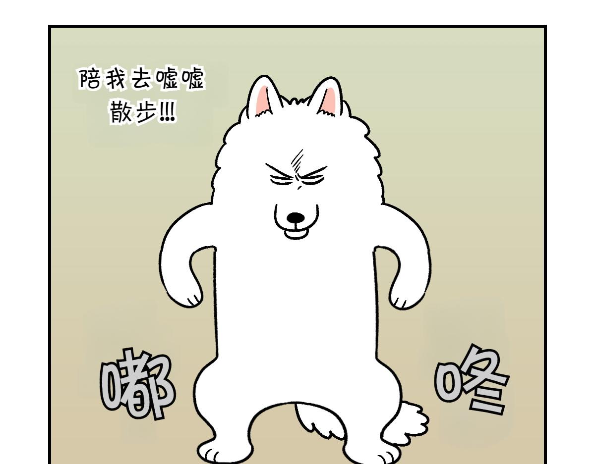 第10话 晚间流程-第78话