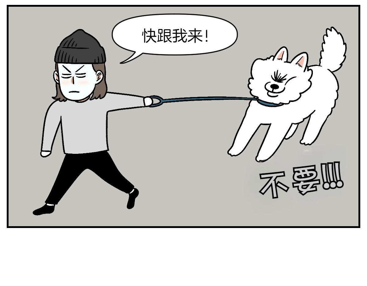 第10话 晚间流程-第78话