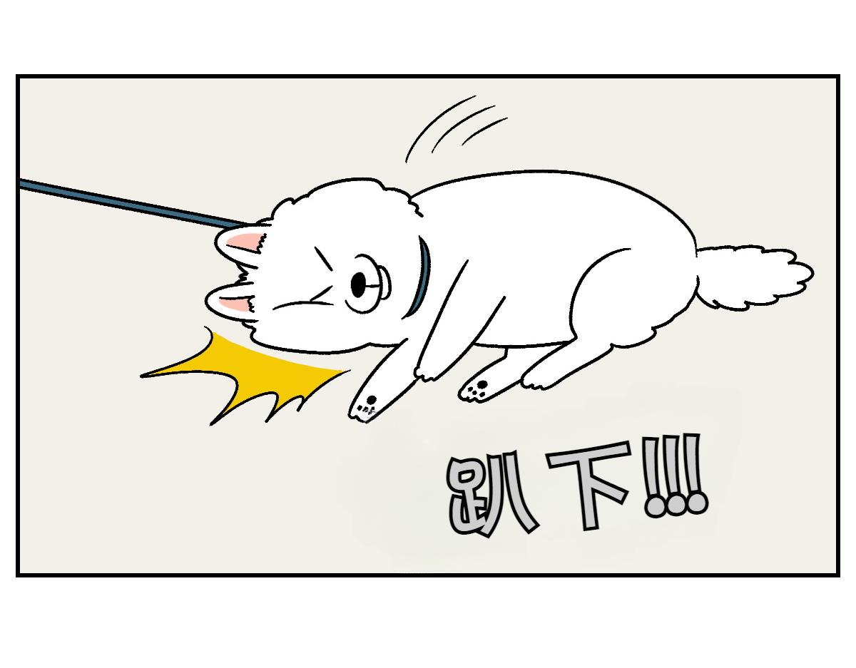 第10话 晚间流程-第78话