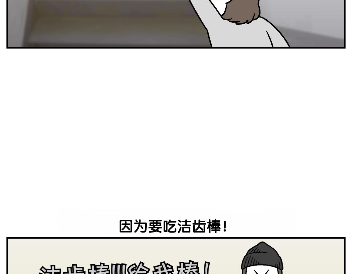 第10话 晚间流程-第78话