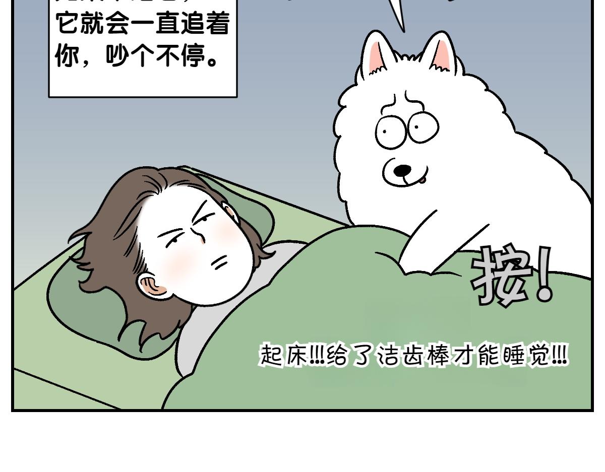第10话 晚间流程-第78话