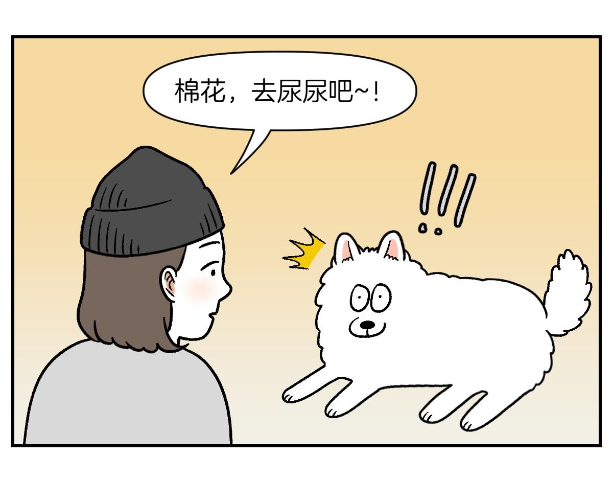 第10话 晚间流程-第78话