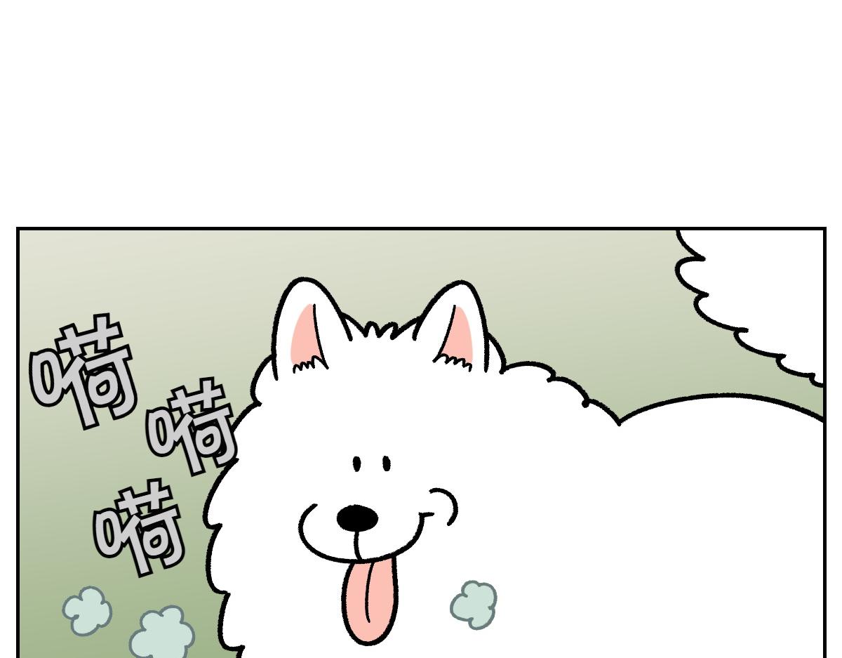第16话 胖狗狗1-第84话