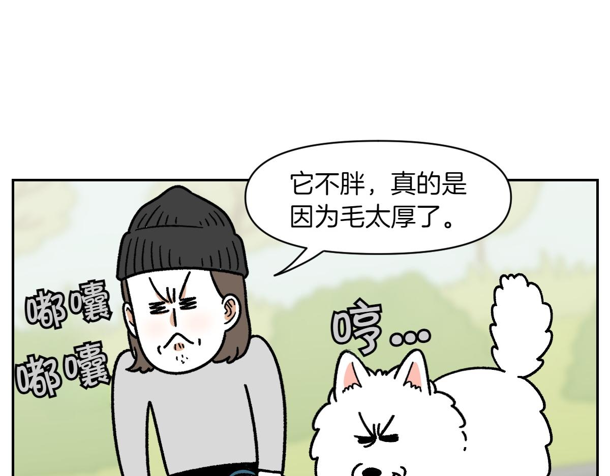 第16话 胖狗狗1-第84话