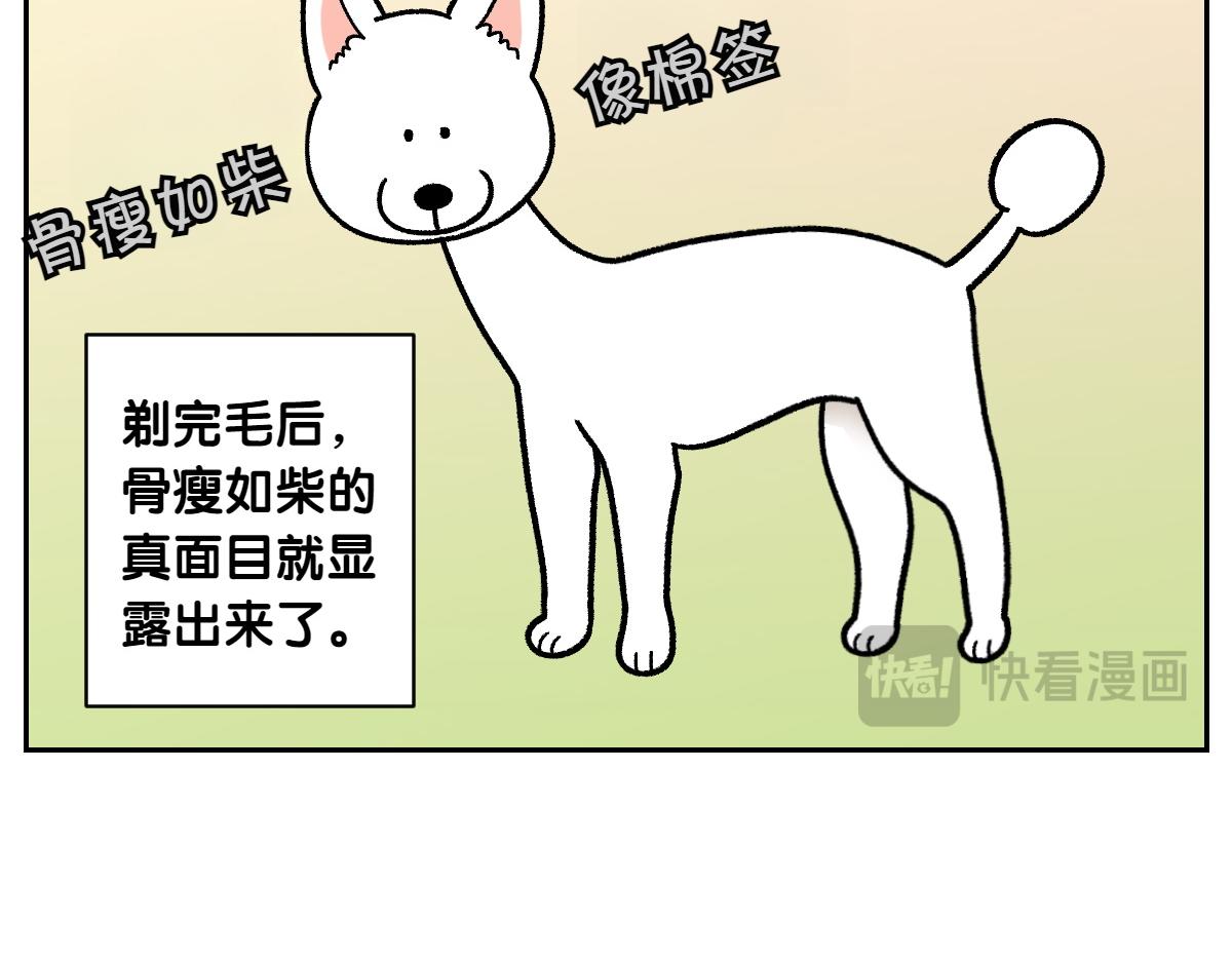 第16话 胖狗狗1-第84话