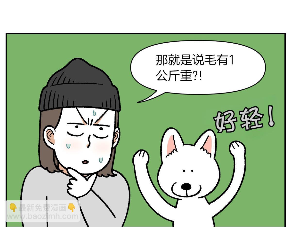 第16话 胖狗狗1-第84话