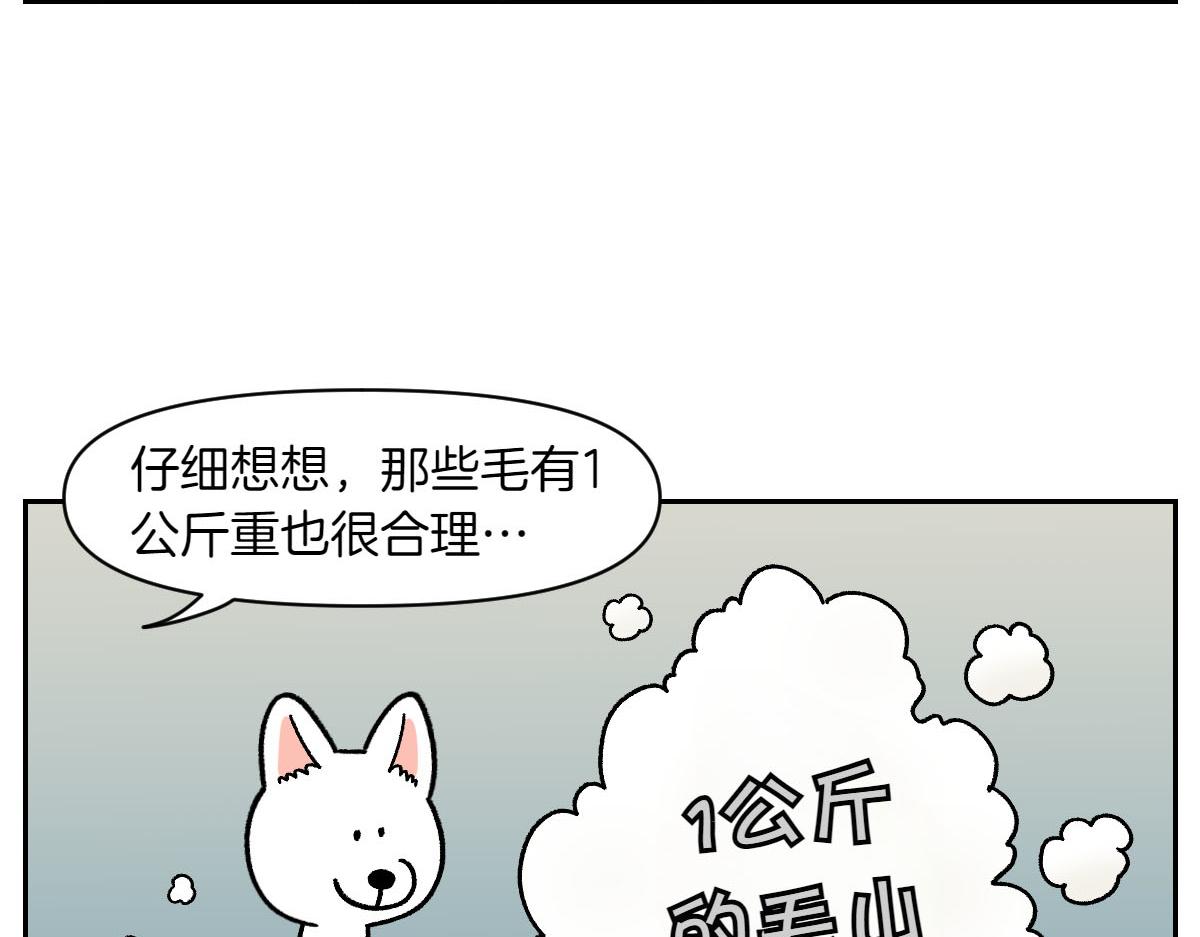 第16话 胖狗狗1-第84话