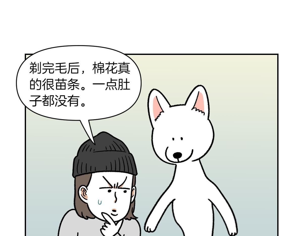 第16话 胖狗狗1-第84话