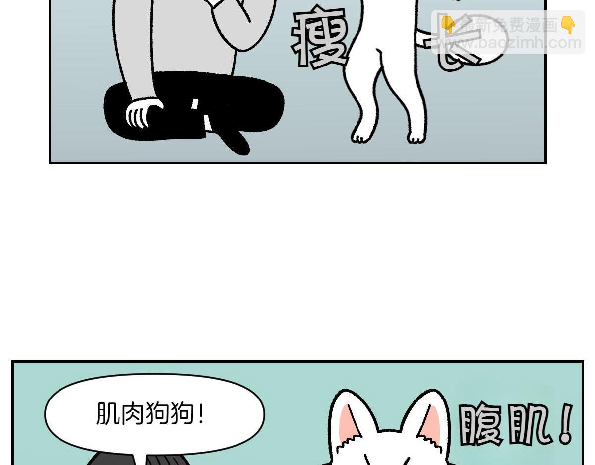 第16话 胖狗狗1-第84话