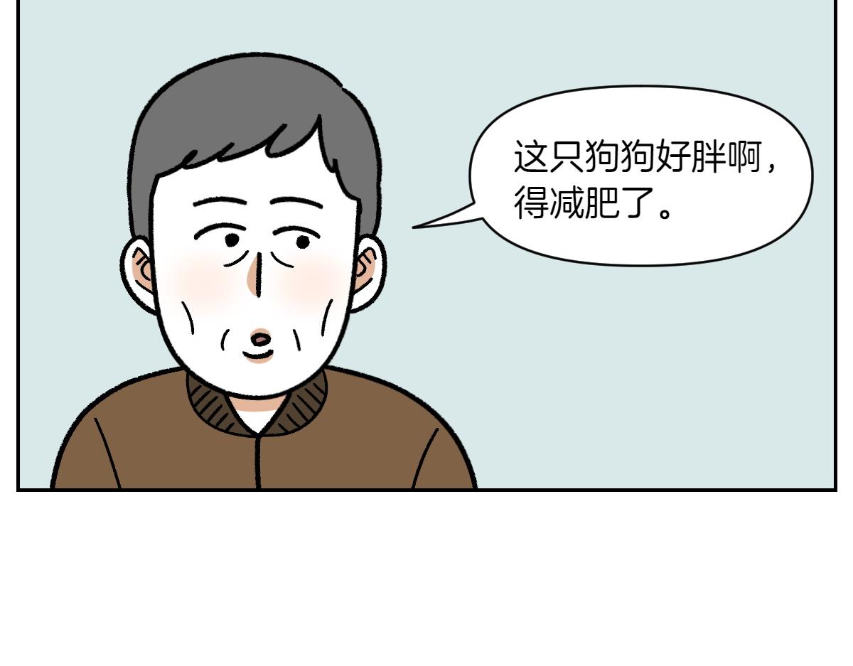 第16话 胖狗狗1-第84话
