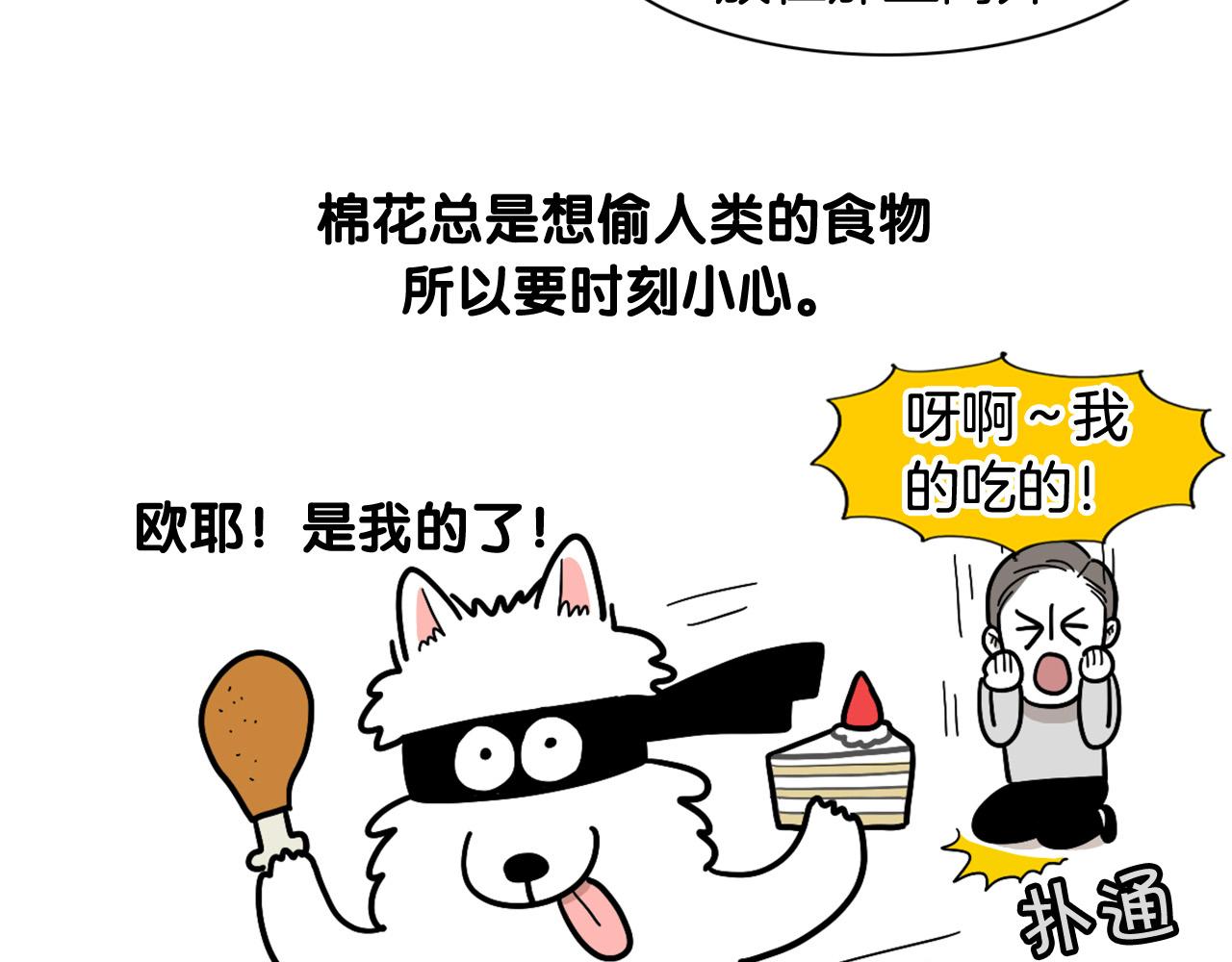 第9话 偷吃贼(1/2)-第10话