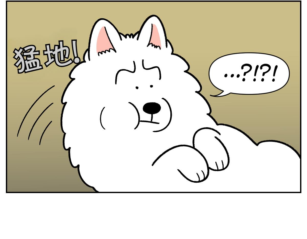 第22话 地毯1-第90话