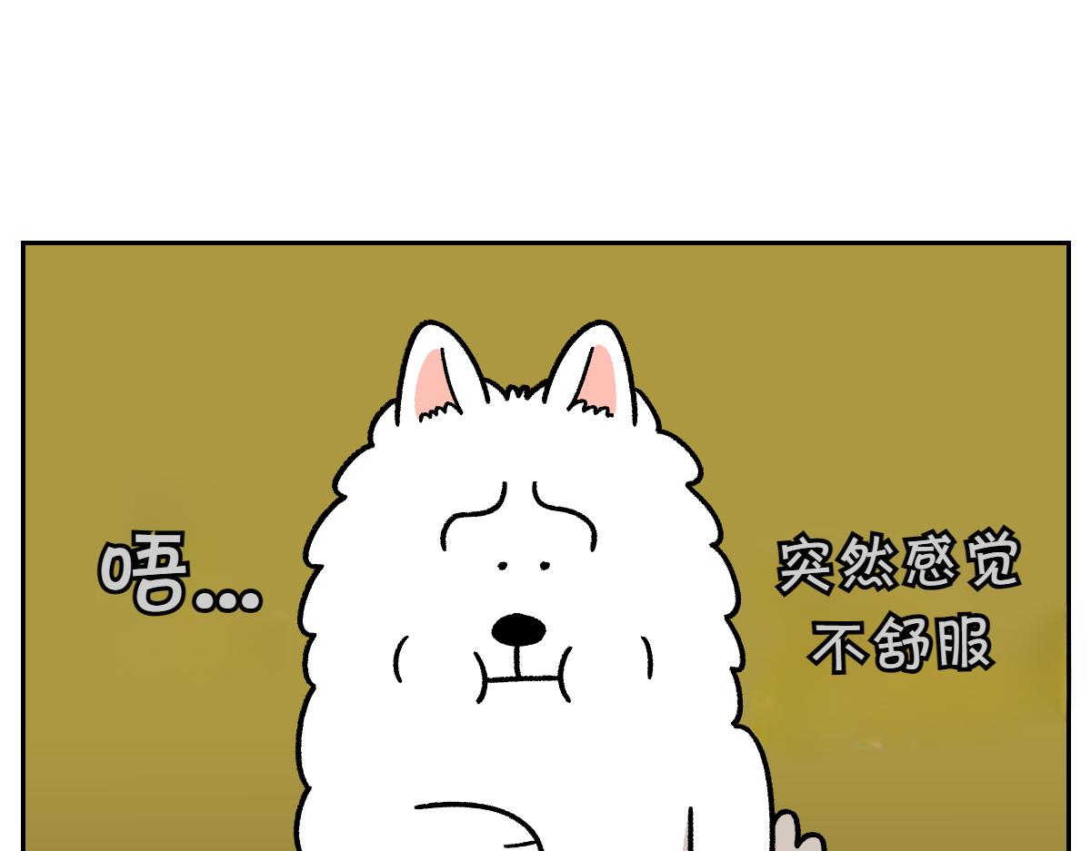 第22话 地毯1-第90话