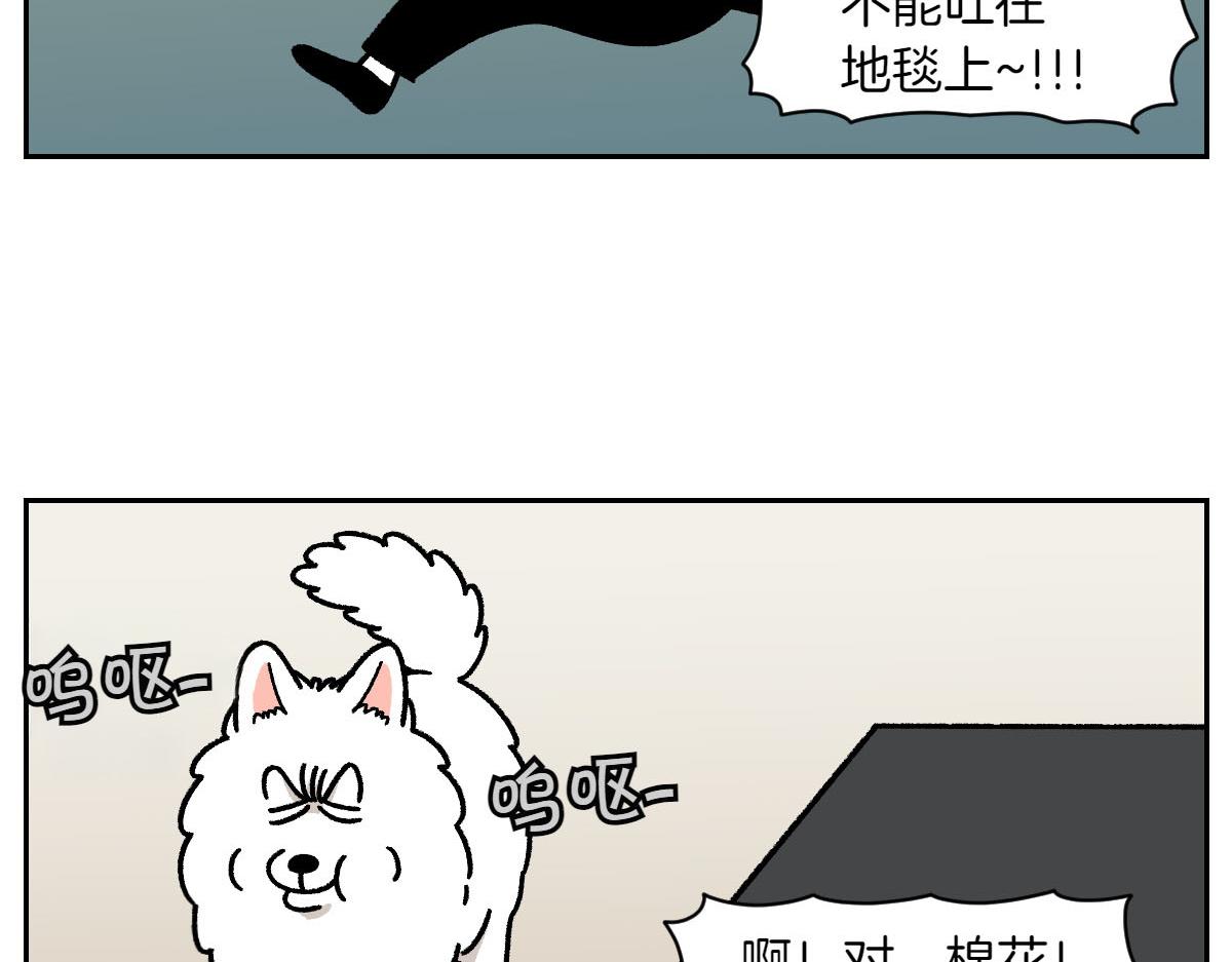 第22话 地毯1-第90话