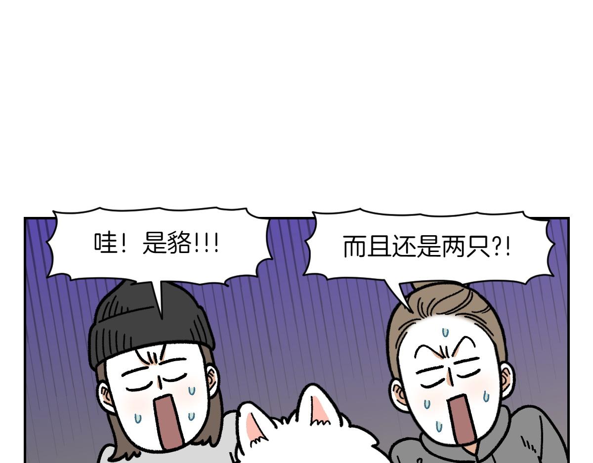 第24话 貉-第92话